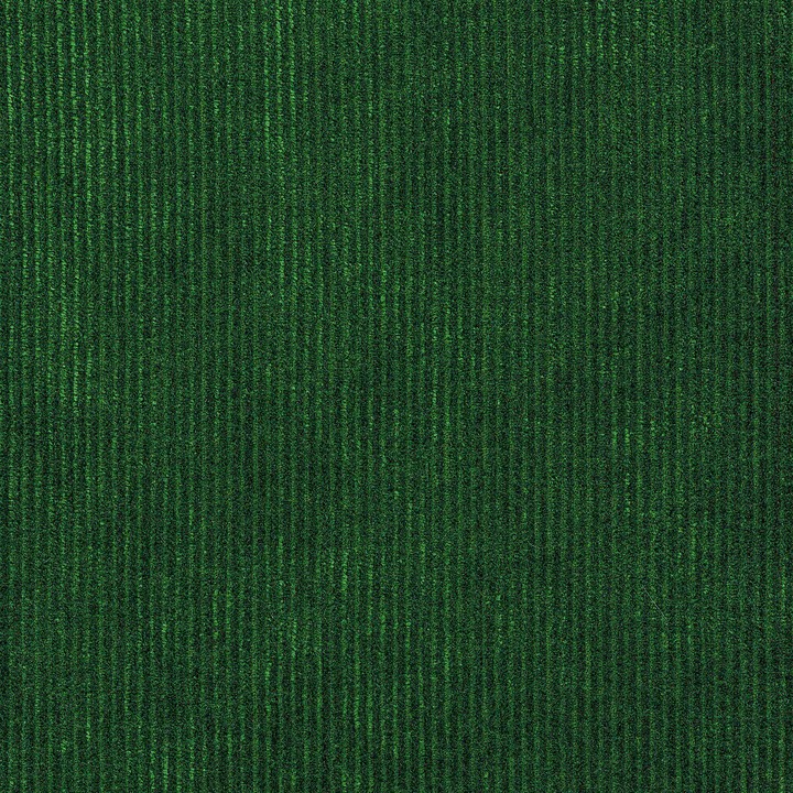 Lush - Tinneroy 29502