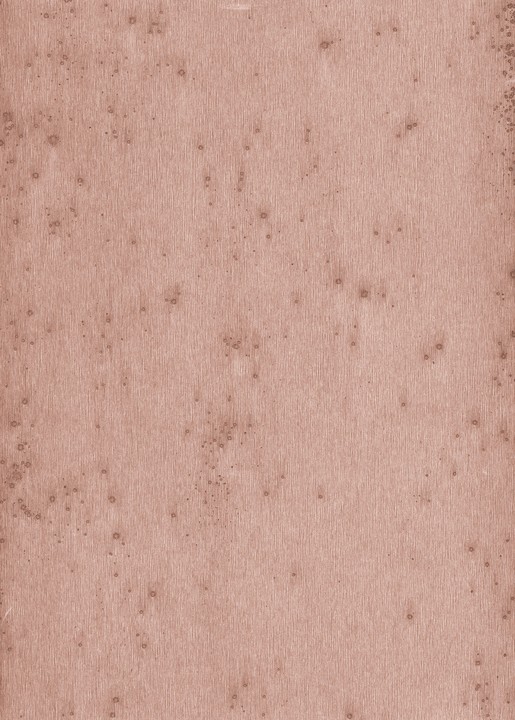 Lush - Stellar 37503A