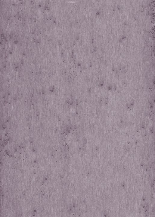 Metal X - Stelar 37504