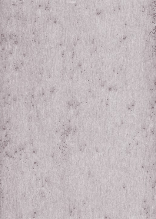 Metal X - Stelar 37505