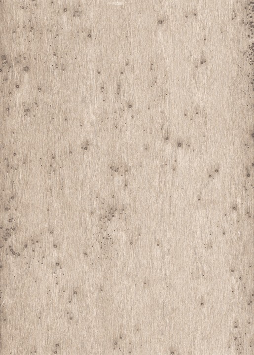 Metal X - Stelar 37507