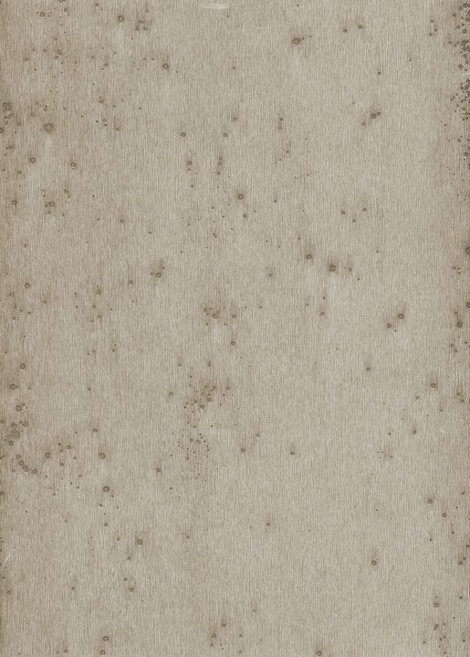 Metal X - Stelar 37508