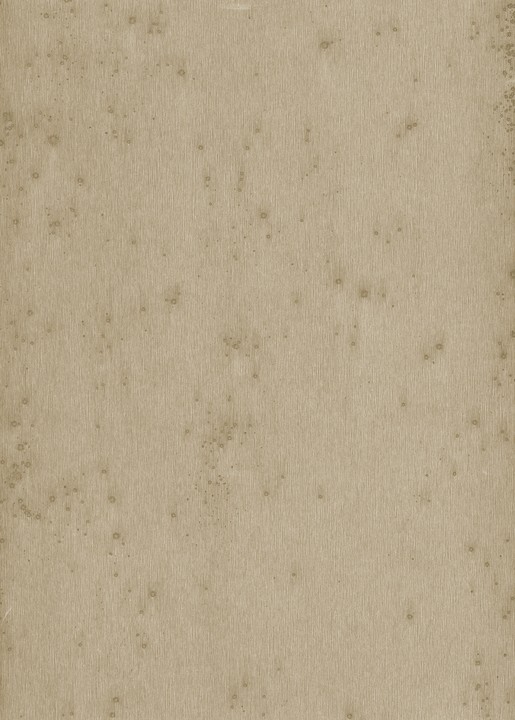 Metal X - Stelar 37509