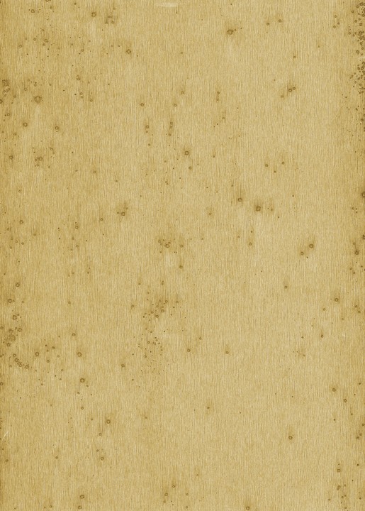 Metal X - Stelar 37516