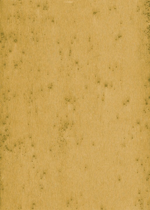Metal X - Stelar 37519