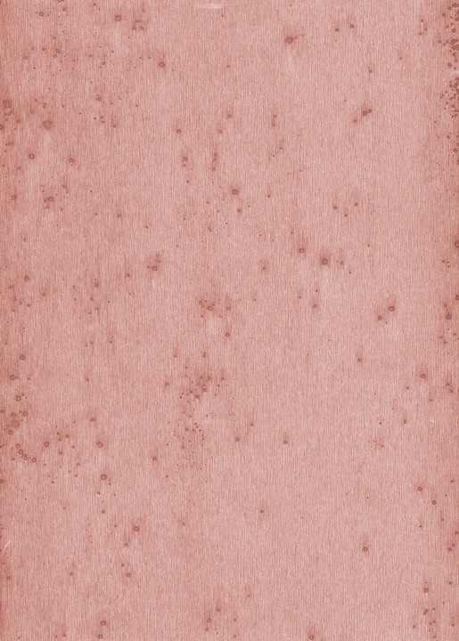 Metal X - Stelar 37520