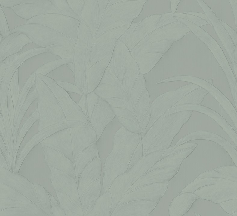 Monsoon 2.0 - Musa 75003A