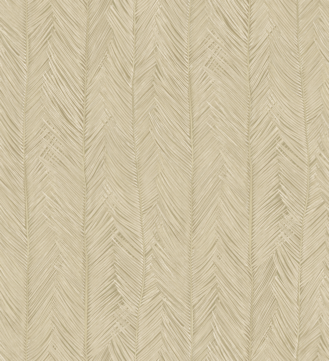 Monsoon 2.0 - Itaya 75401B