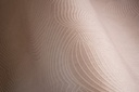 Moooi Green House - Techno Bee MO5042
