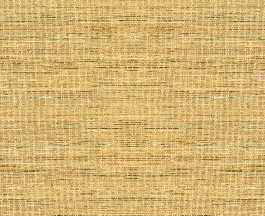 Oculaire - Line 80710