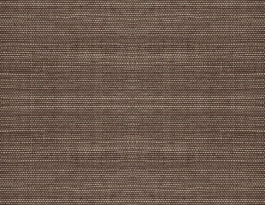 Oculaire - Line 80712