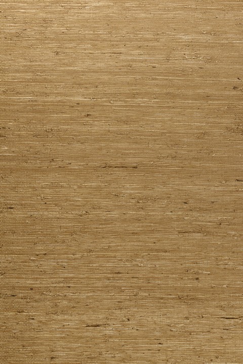 Osmanthus - Kudzu 54532