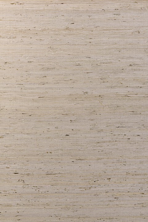 Osmanthus - Kudzu 54534