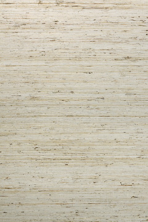 Osmanthus - Kudzu 54540
