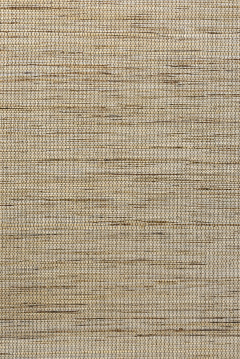 Osmanthus - Sambe 54550