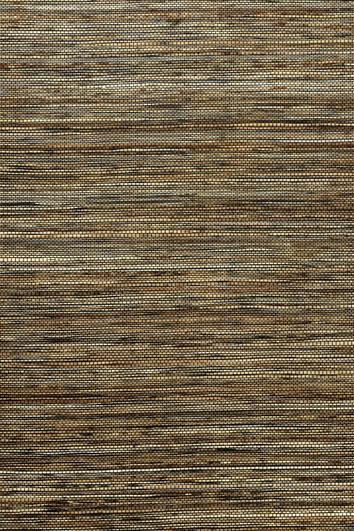 Osmanthus - Sambe 54552