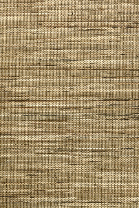 Osmanthus - Sambe 54554