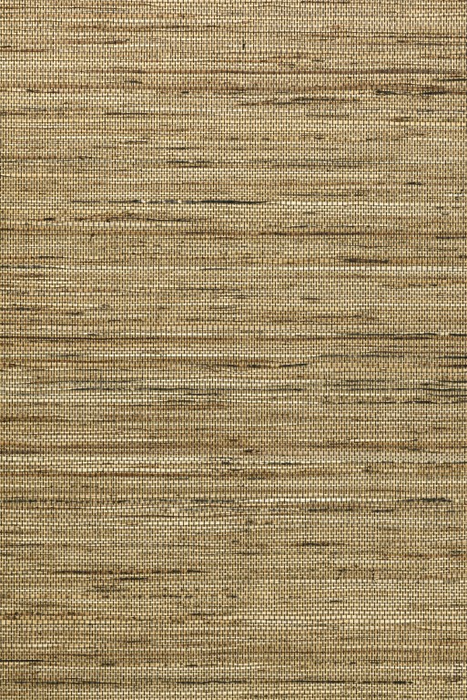 Osmanthus - Sambe 54554