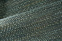 Osmanthus - Geloma 54564