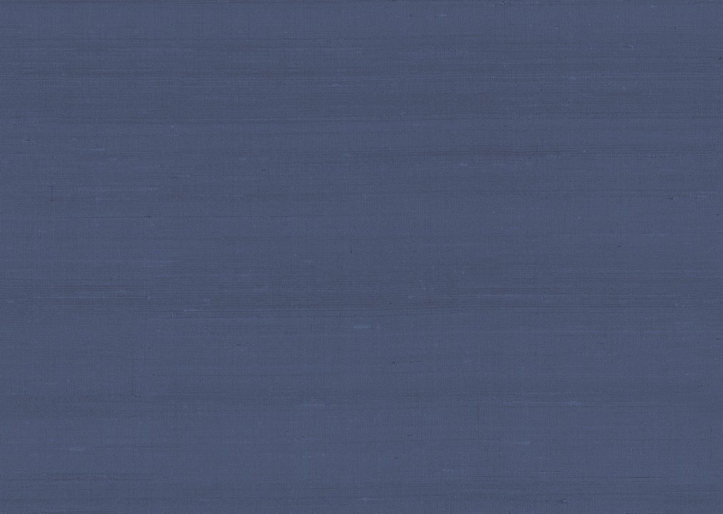 Paleo - Latus 50500