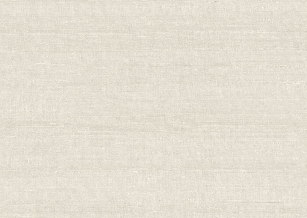 Paleo - Latus 50501