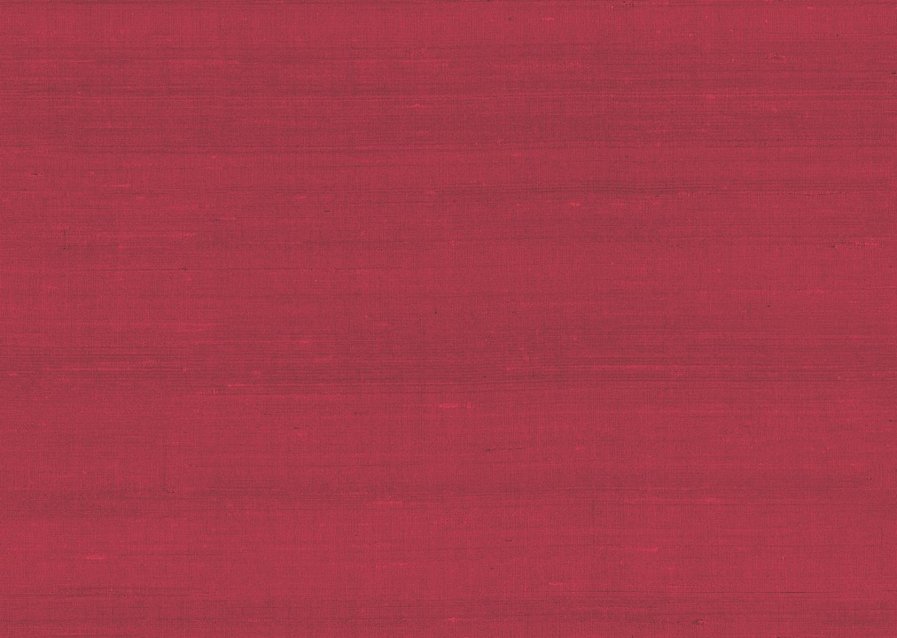 Paleo - Latus 50502