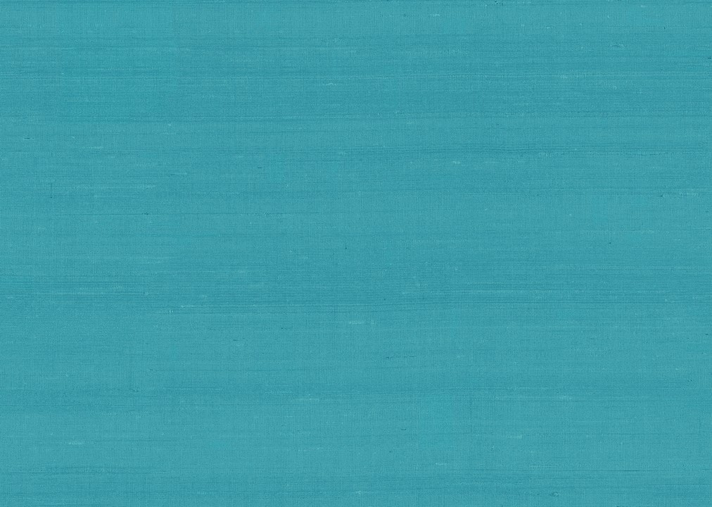 Paleo - Latus 50503