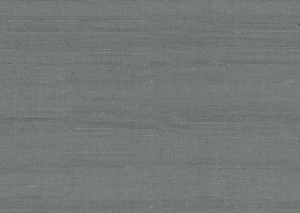 Paleo - Latus 50504