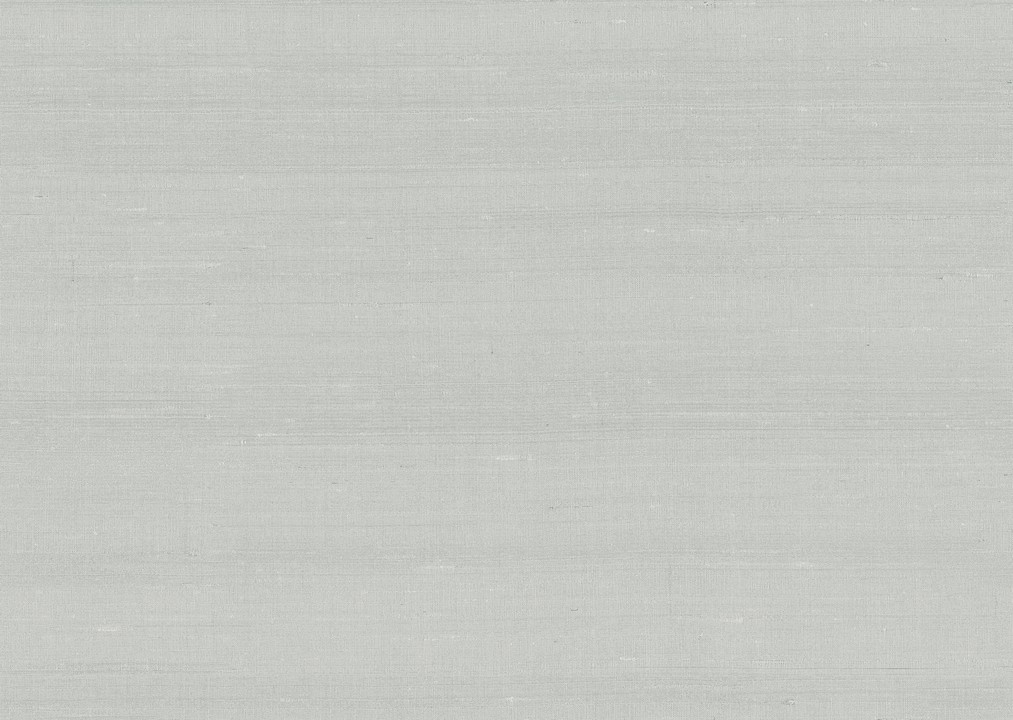 Paleo - Latus 50505