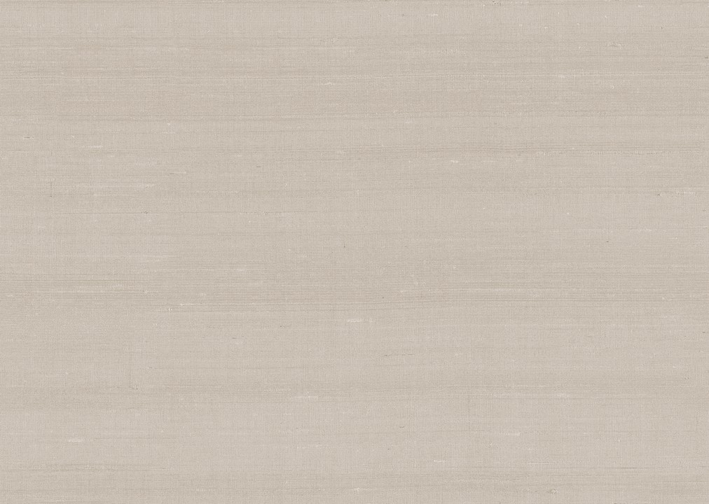 Paleo - Latus 50506