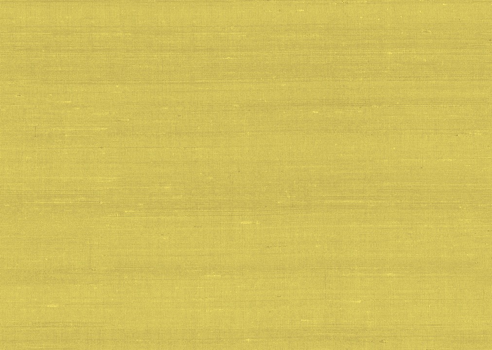 Paleo - Latus 50507