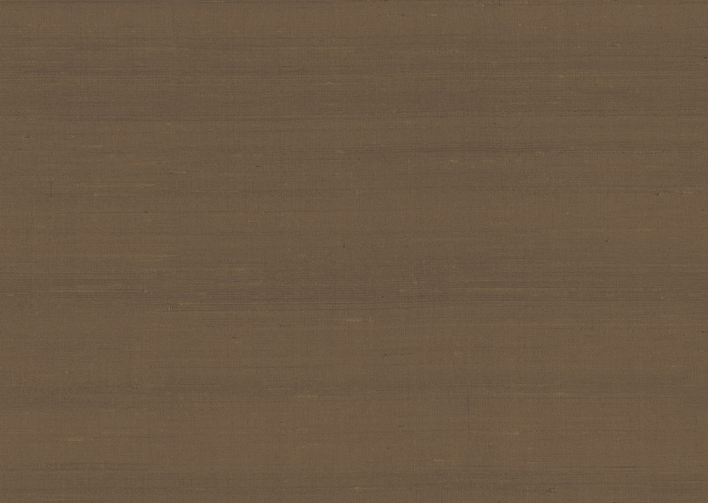 Paleo - Latus 50508