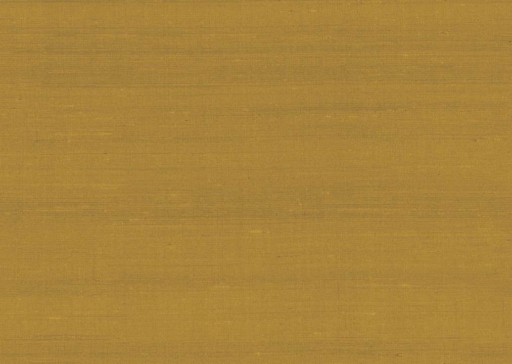Paleo - Latus 50509