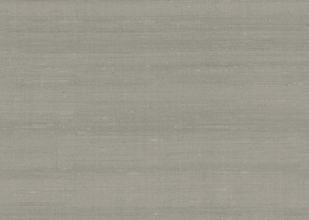 Paleo - Latus 50510