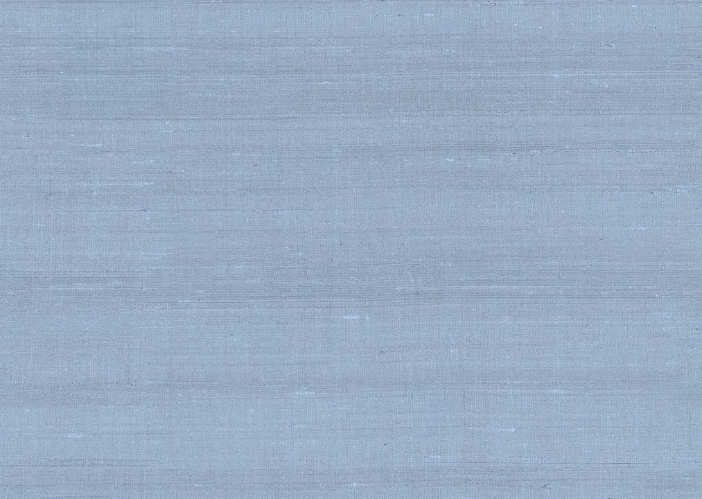 Paleo - Latus 50511