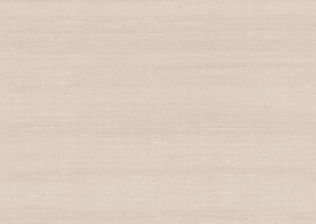 Paleo - Latus 50512