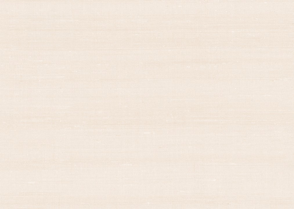 Paleo - Latus 50513