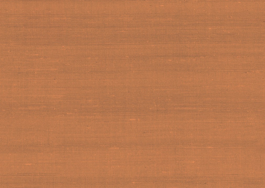 Paleo - Latus 50514