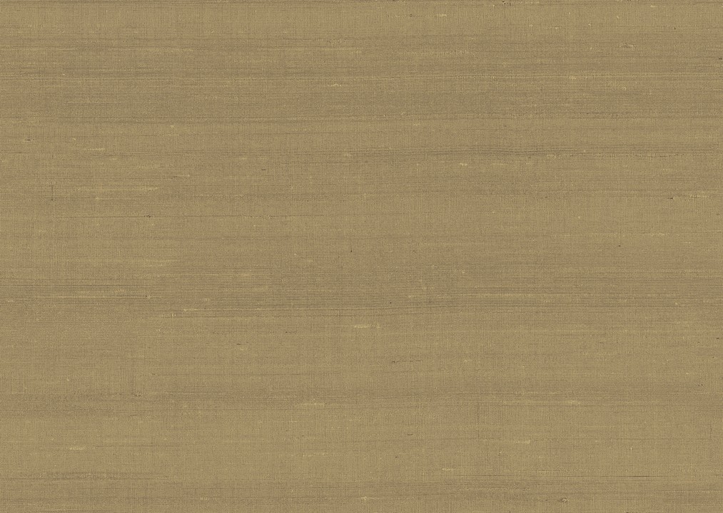 Paleo - Latus 50515