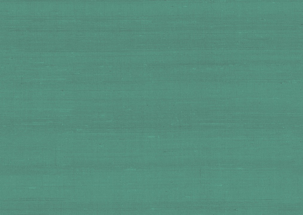 Paleo - Latus 50516