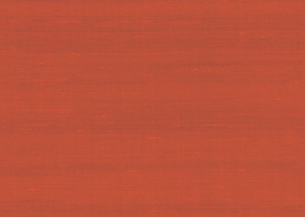 Paleo - Latus 50517