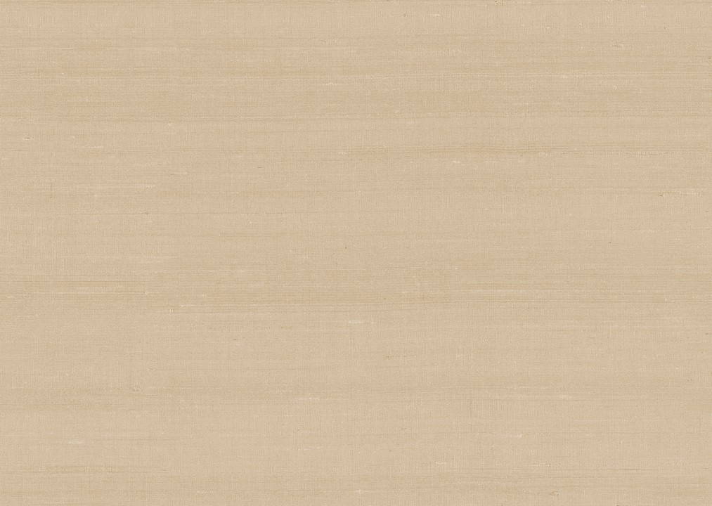 Paleo - Latus 50518