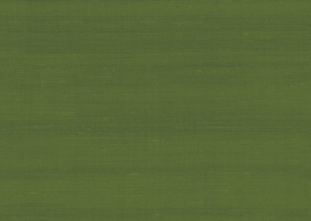 Paleo - Latus 50519