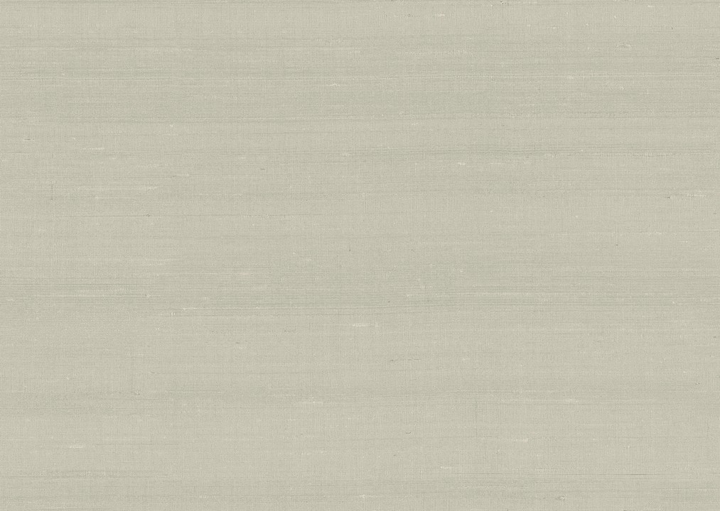 Paleo - Latus 50520