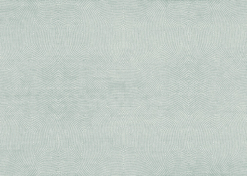 Paleo - Strata 50570