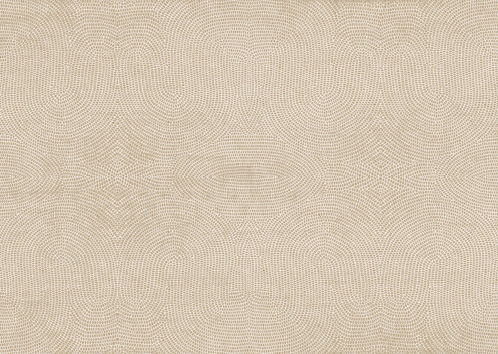 Paleo - Strata 50571