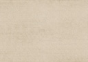 Paleo - Strata 50571