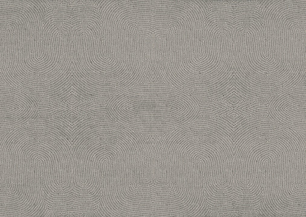 Paleo - Strata 50572