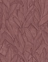 Sculptura - Piante 42520