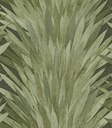 Selva - Abanico 34001
